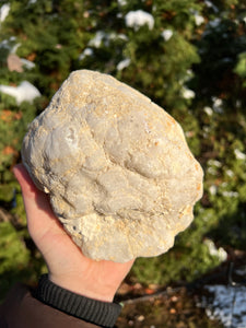 XL Morocco Quartz Geode