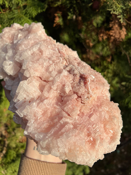 XL Pink Halite Specimen