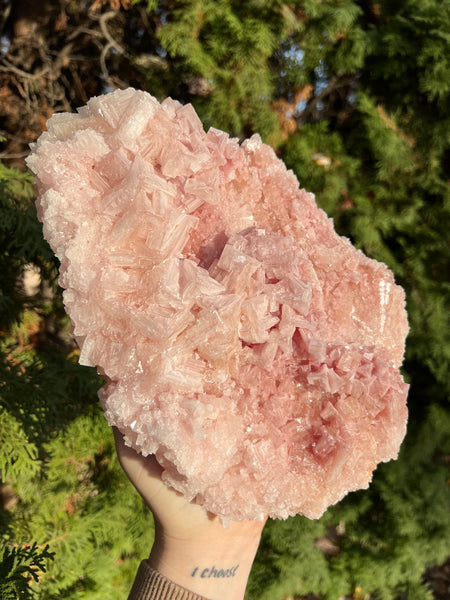 XL Pink Halite Specimen