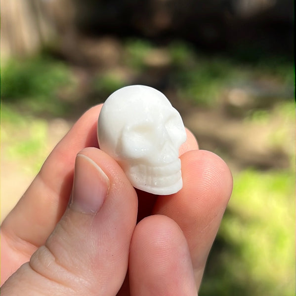 Mini Skull Carvings