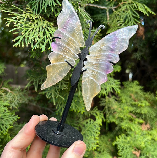 Fluorite Butterfly