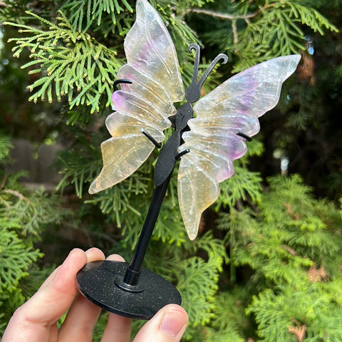 Fluorite Butterfly