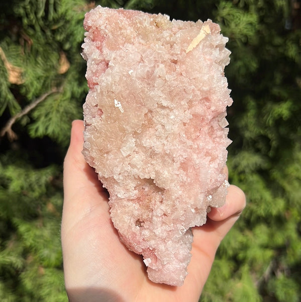 Pink Halite Specimen