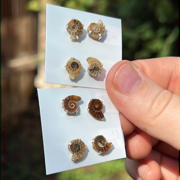 Ammonite Earrings