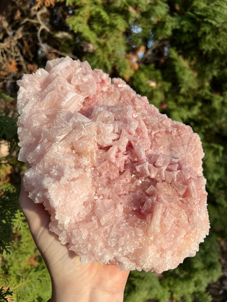 XL Pink Halite Specimen