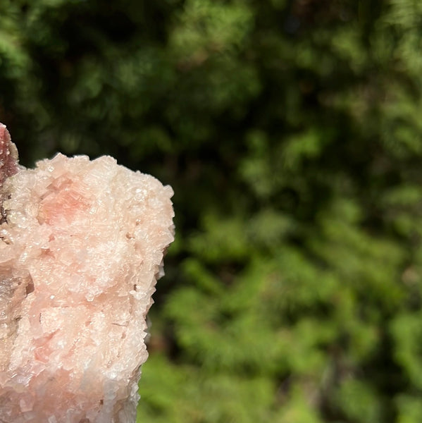 Pink Halite Specimen