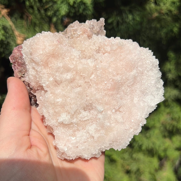 Pink Halite Specimen