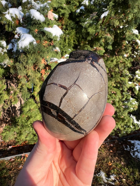 Septarian Egg