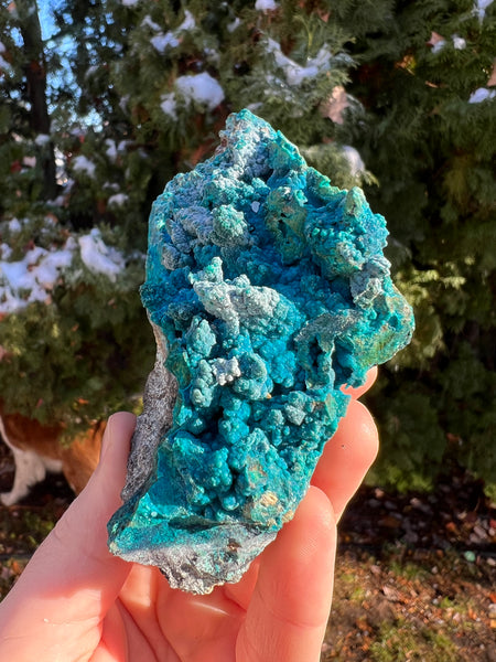 Quantum Chrysocolla Specimen