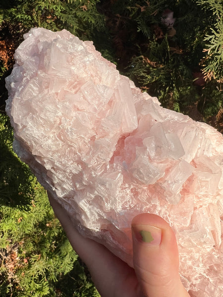 XL Pink Halite Specimen