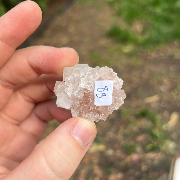 Pink Halite Specimen