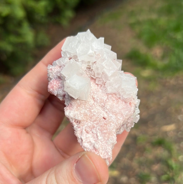 Pink Halite Specimen