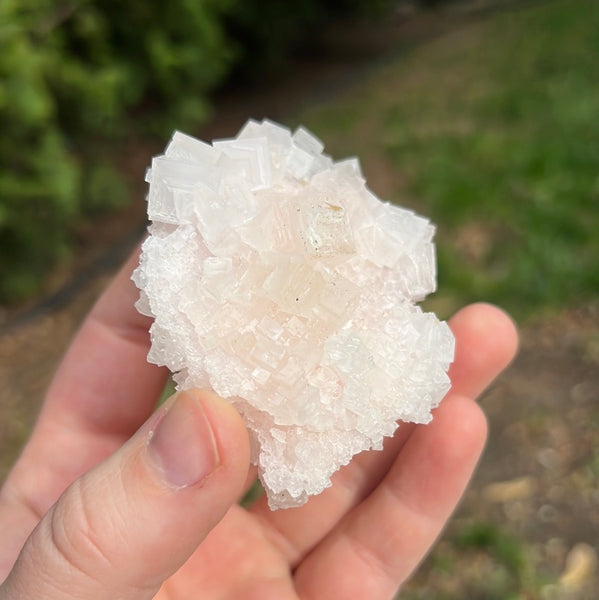 Pink Halite Specimen