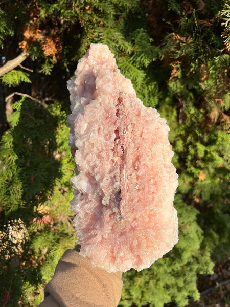 XL Pink Halite Specimen