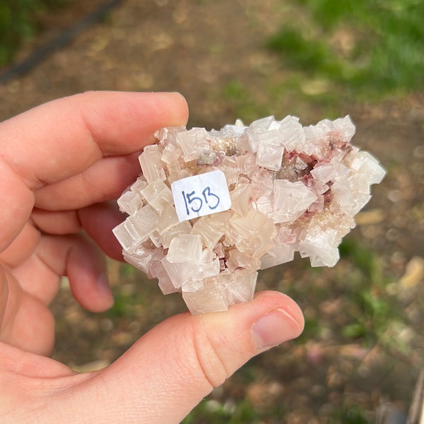 Pink Halite Specimen