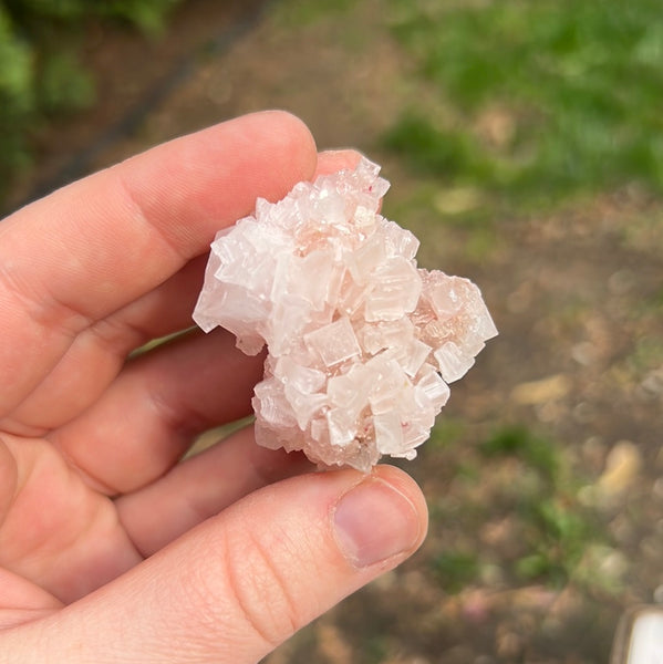 Pink Halite Specimen