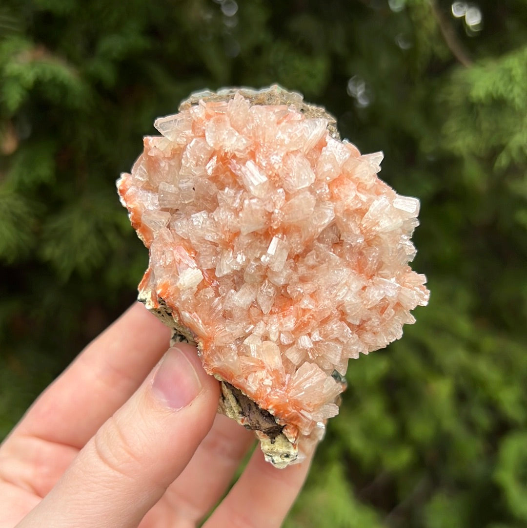 Red Heulandite Cluster