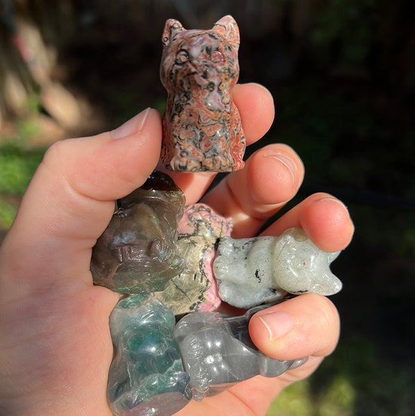 Mini Cat Carvings