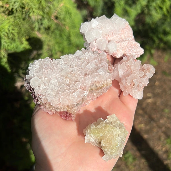 Pink Halite Specimen