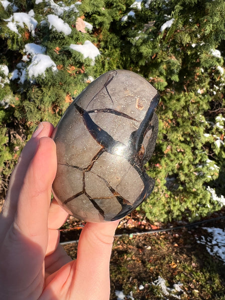 Septarian Egg