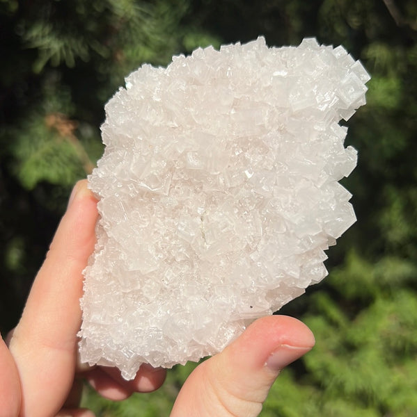 Pink Halite Specimen