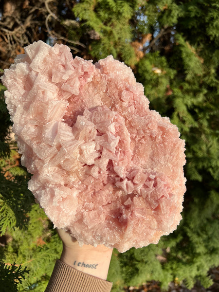 XL Pink Halite Specimen