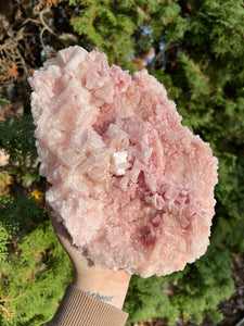 XL Pink Halite Specimen