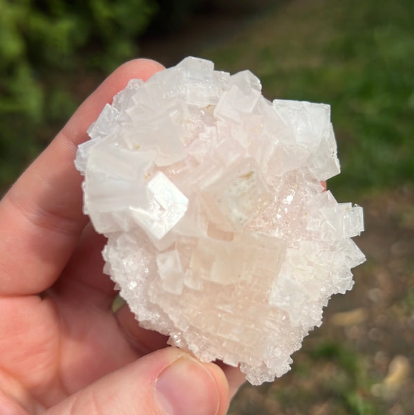 Pink Halite Specimen