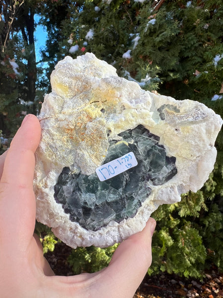 Fluorite from Mexico