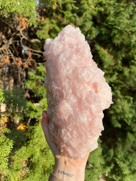 XL Pink Halite Specimen