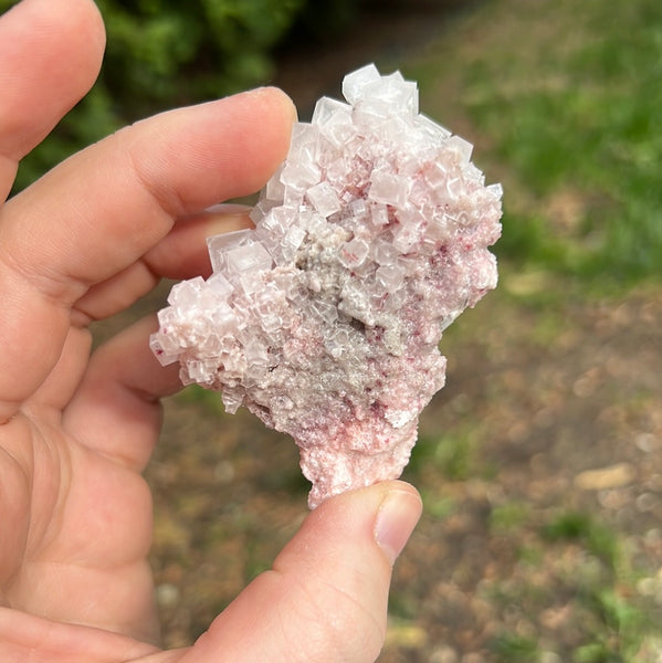 Pink Halite Specimen