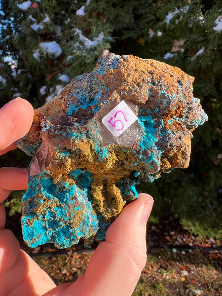 Quantum Chrysocolla Specimen