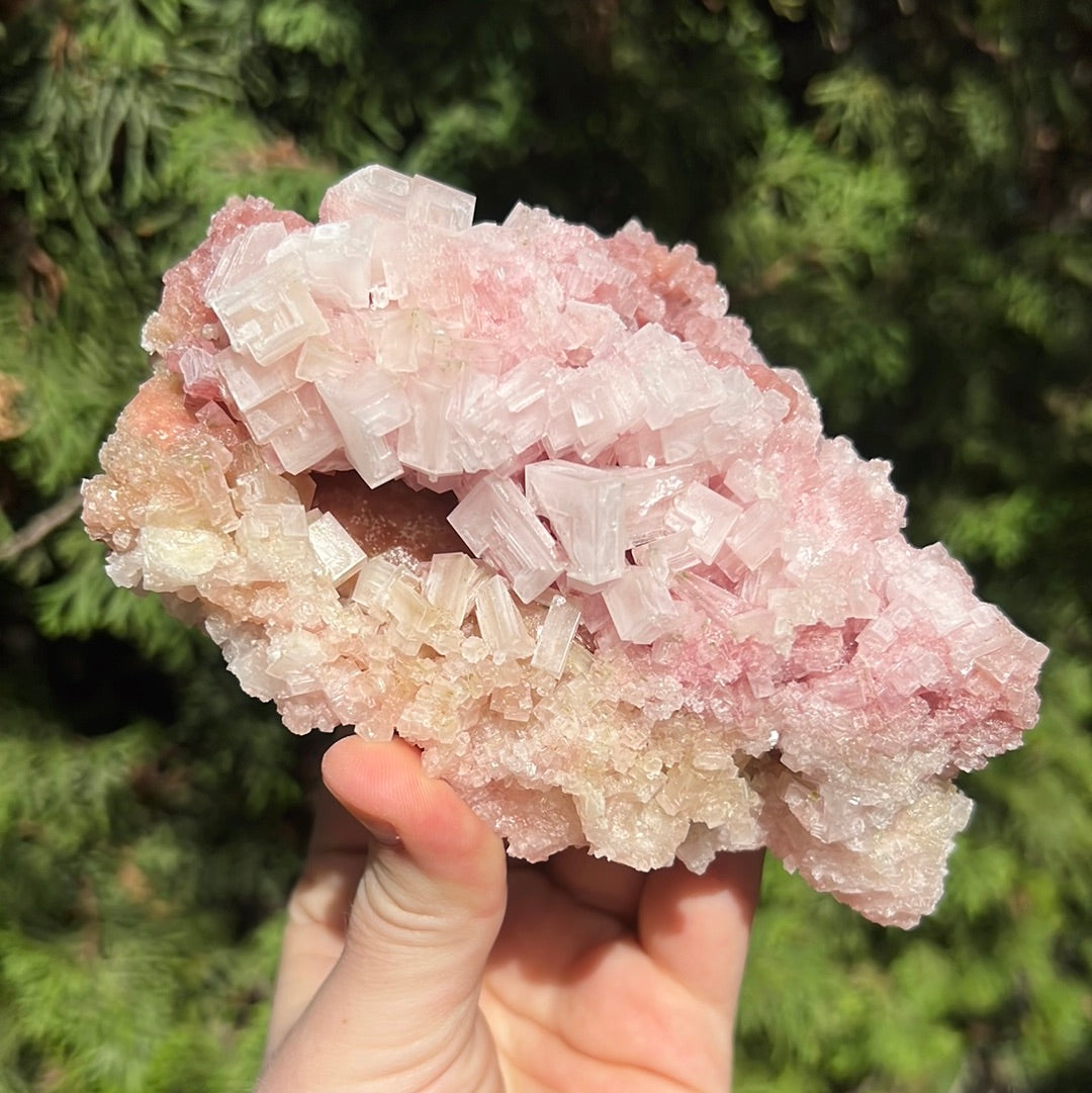 Pink Halite Specimen