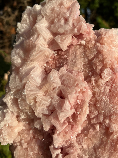 XL Pink Halite Specimen