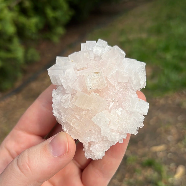 Pink Halite Specimen