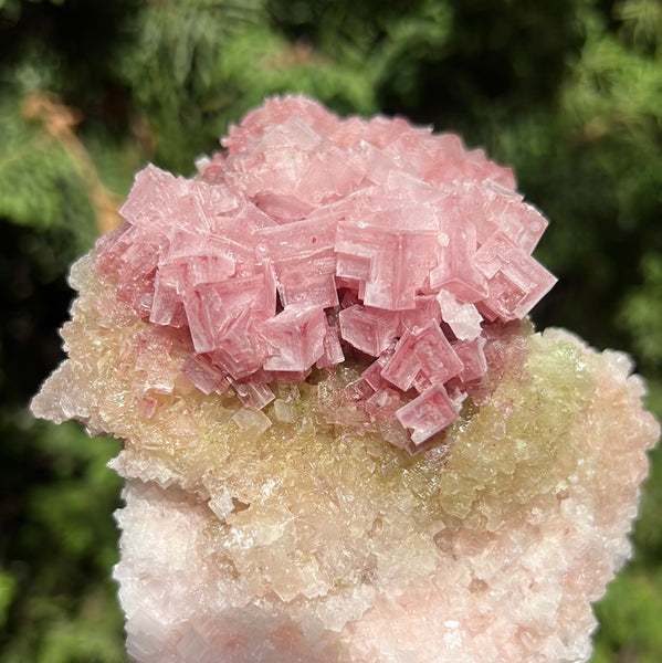 Pink Halite Specimen