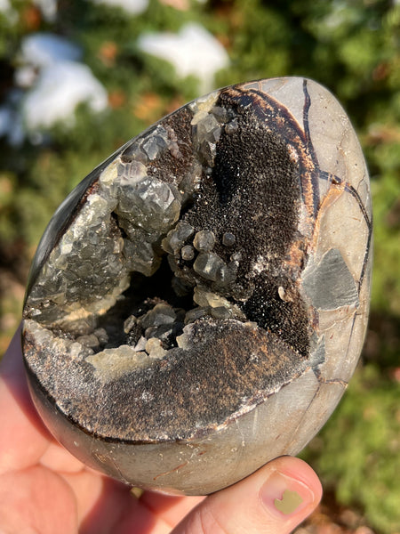 Septarian Egg