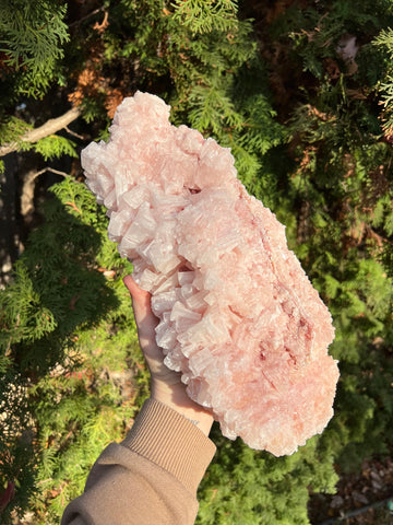 XL Pink Halite Specimen