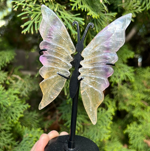 Fluorite Butterfly