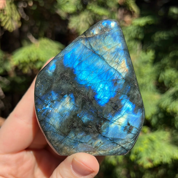 Labradorite Freeform