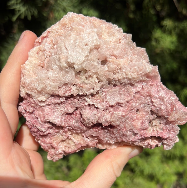 Pink Halite Specimen