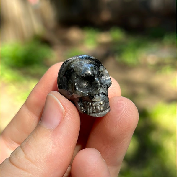 Mini Skull Carvings