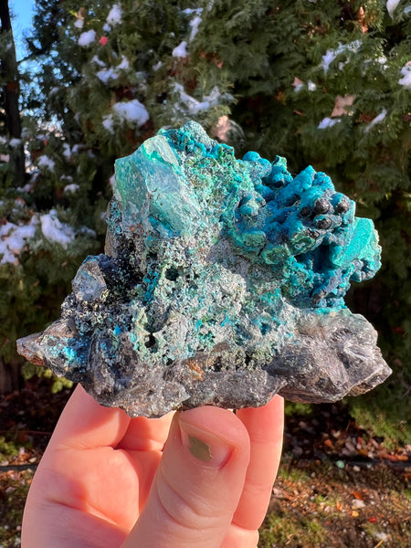 Quantum Chrysocolla Specimen