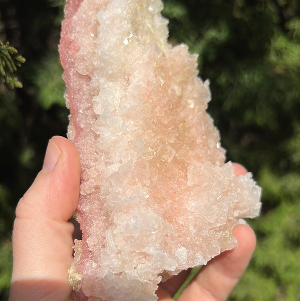 Pink Halite Specimen