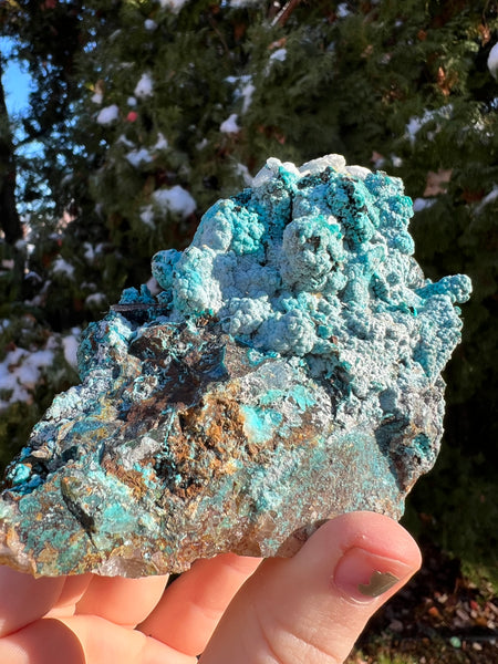 Quantum Chrysocolla Specimen