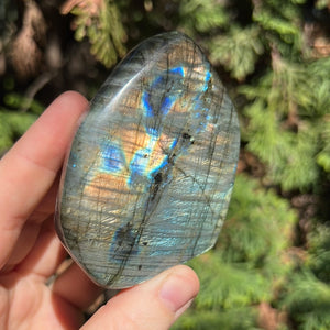 Labradorite Freeform