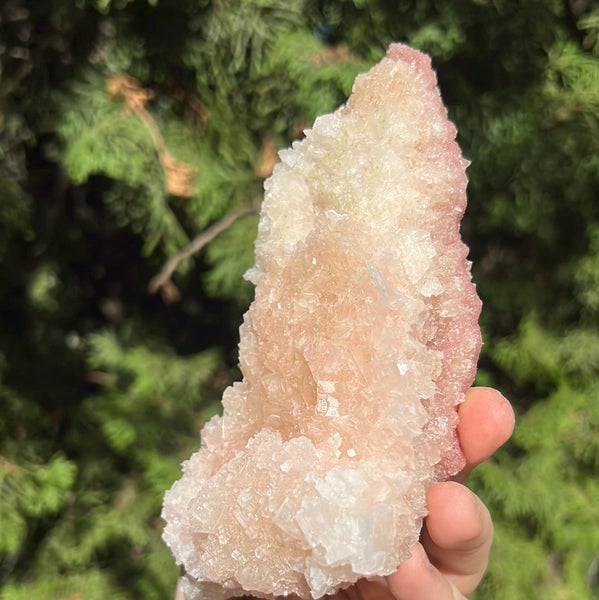 Pink Halite Specimen