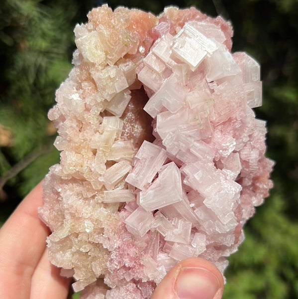 Pink Halite Specimen