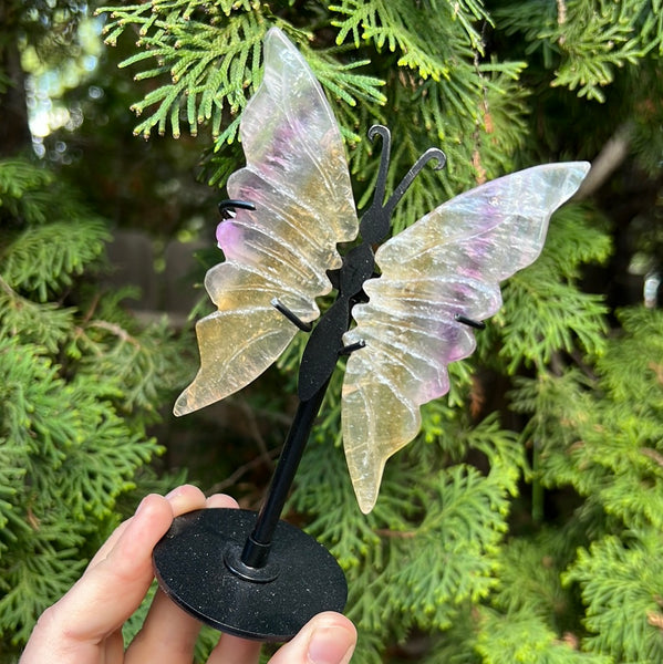 Fluorite Butterfly