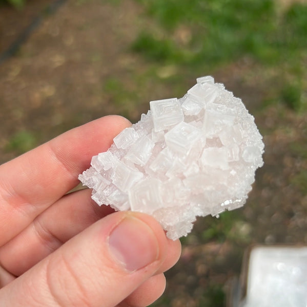 Pink Halite Specimen